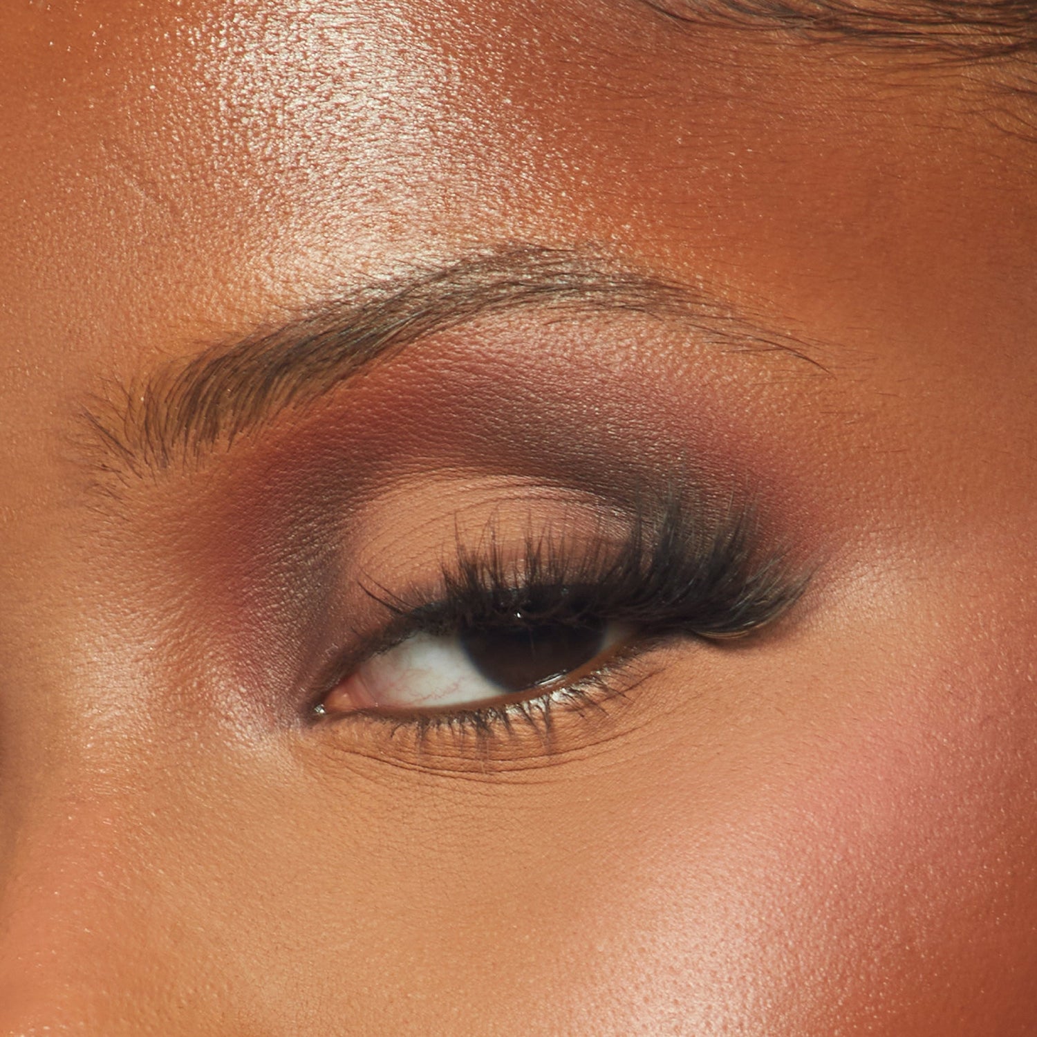 FACE PALETTE (MEDIUM)