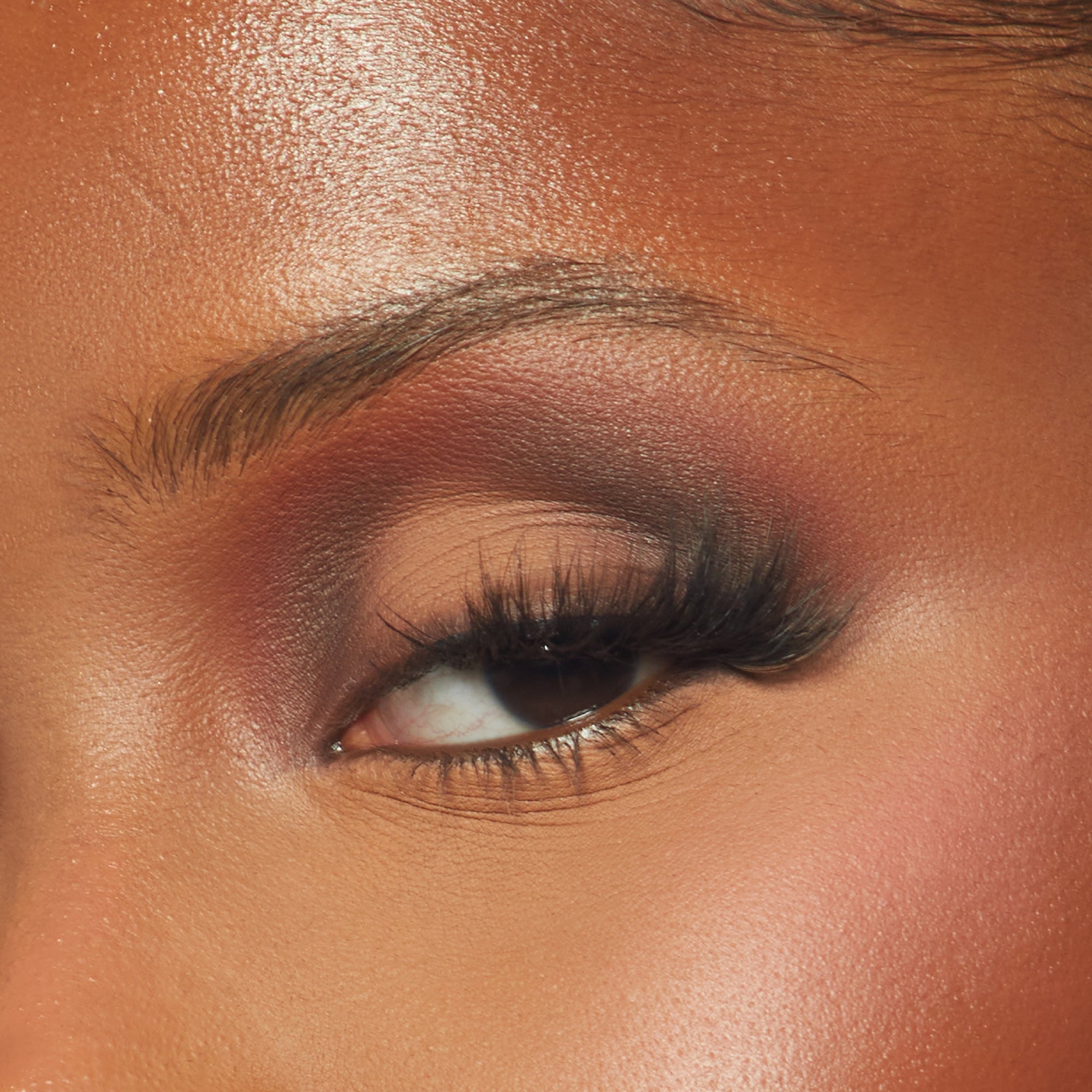 FACE PALETTE (MEDIUM)